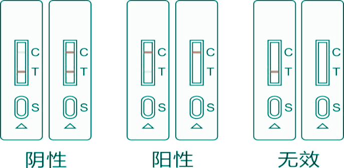 沙丁胺醇快速检测卡结果判读