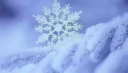 降雪是由水蒸气冷凝形成的固态降水